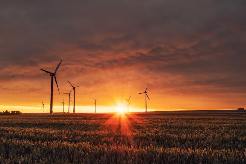 Wind turbines at golden hour